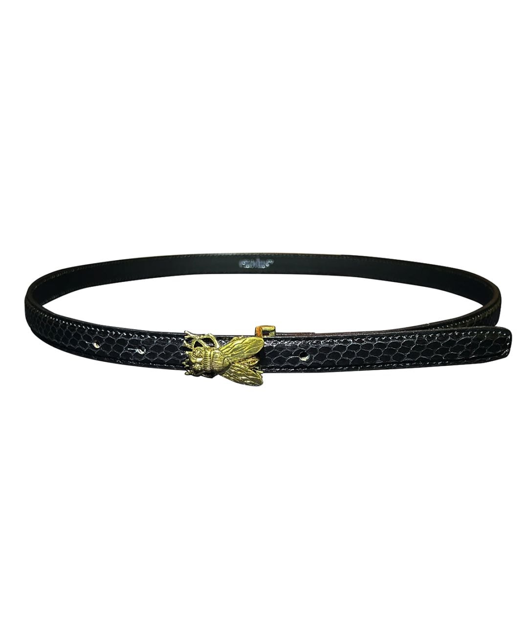 FLY PYTHON BELT【BLACK】