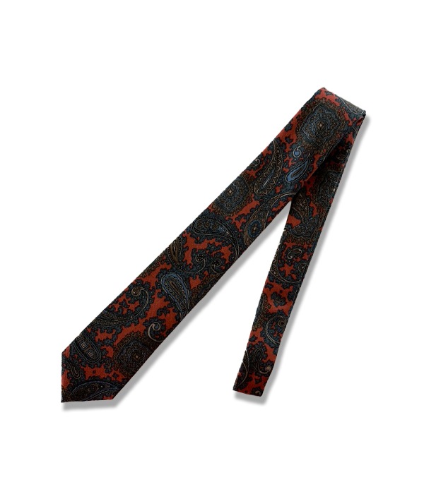 PAISLEY PT TIE
