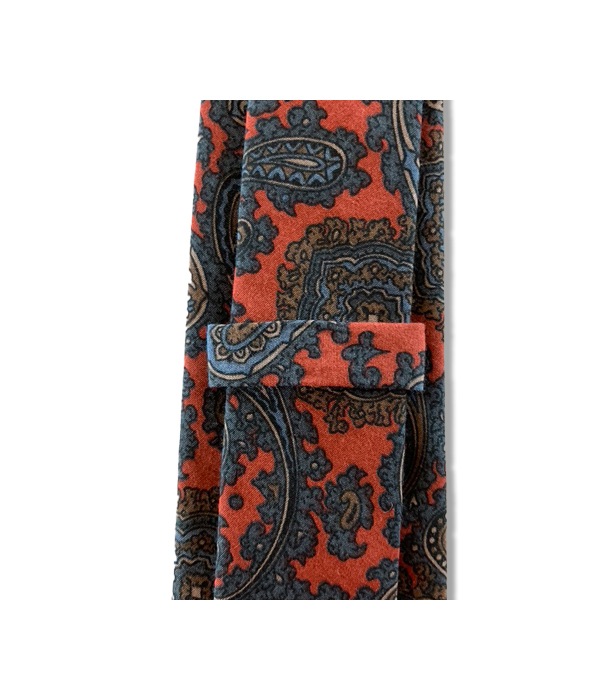 PAISLEY PT TIE