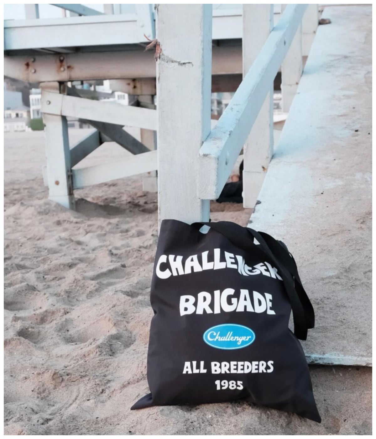 STORM TOTE BAG【3 Colors Available】｜CHALLENGER｜MELTING POT