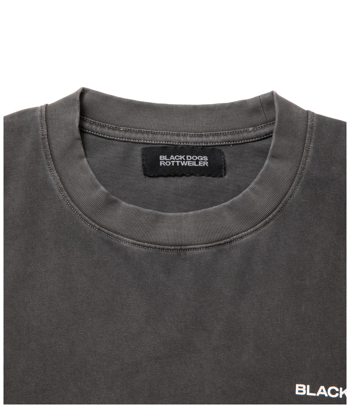 R9 PIGMENT LS TEE【CHARCOAL】