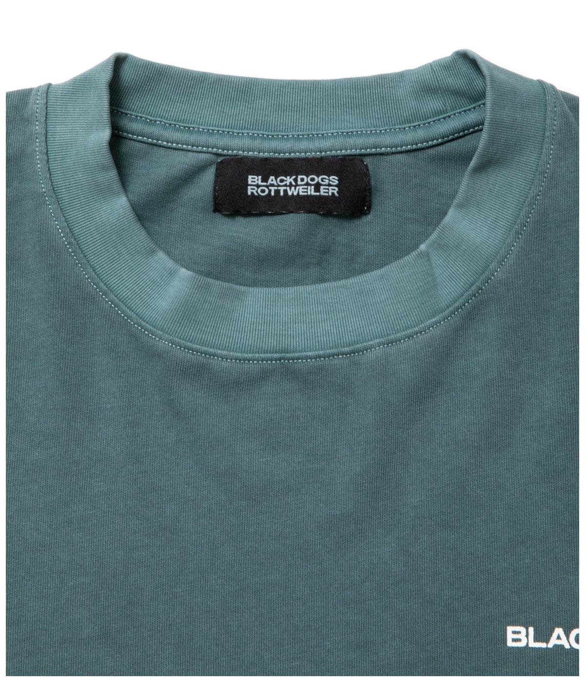 R9 PIGMENT LS TEE【GREEN】