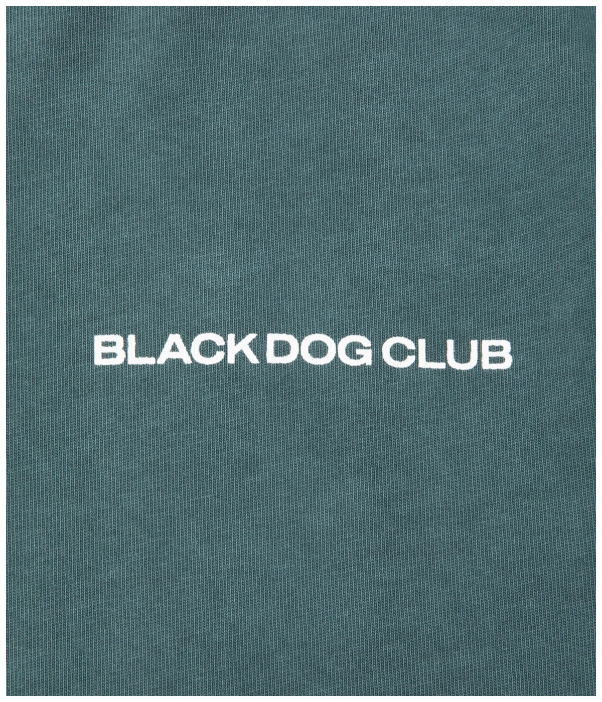 R9 PIGMENT LS TEE【GREEN】