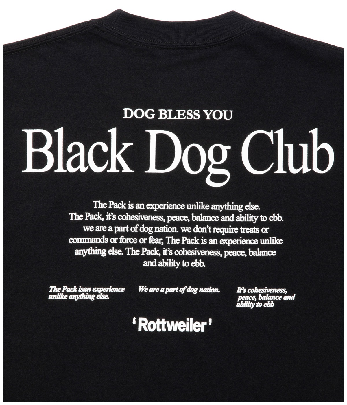 RW TEE【BLACK】