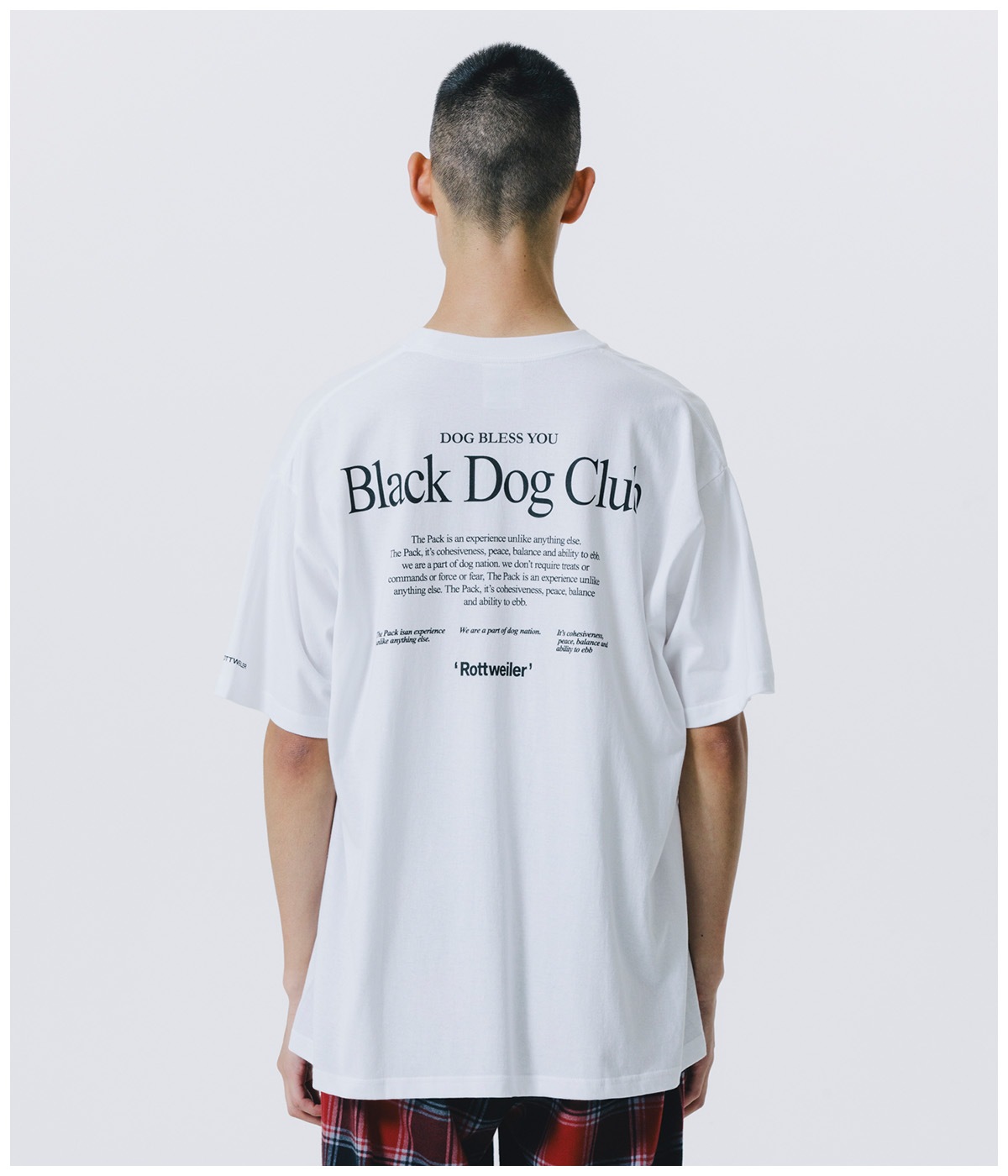 RW TEE【WHITE】