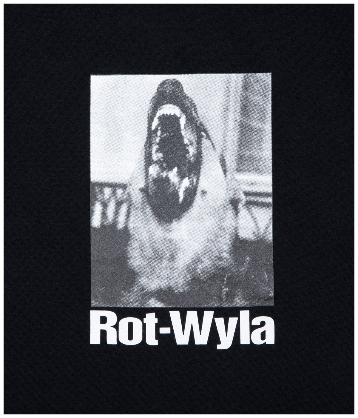 DOG PHOTO TEE【BLACK】
