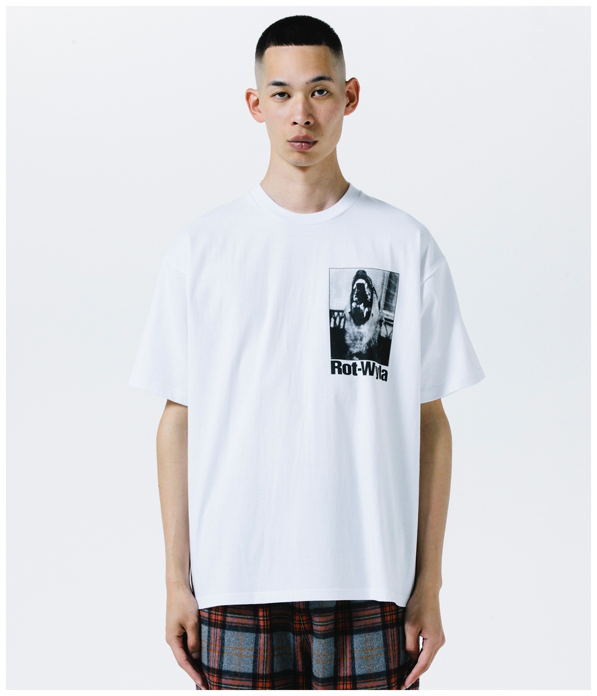 DOG PHOTO TEE【WHITE】