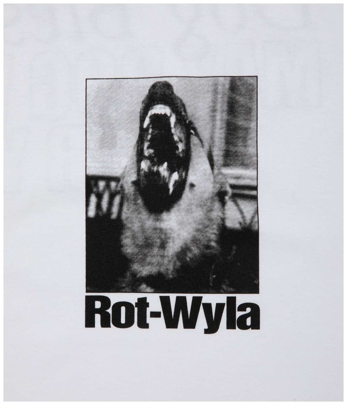 DOG PHOTO TEE【WHITE】