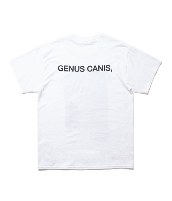 Desert Photo Tee