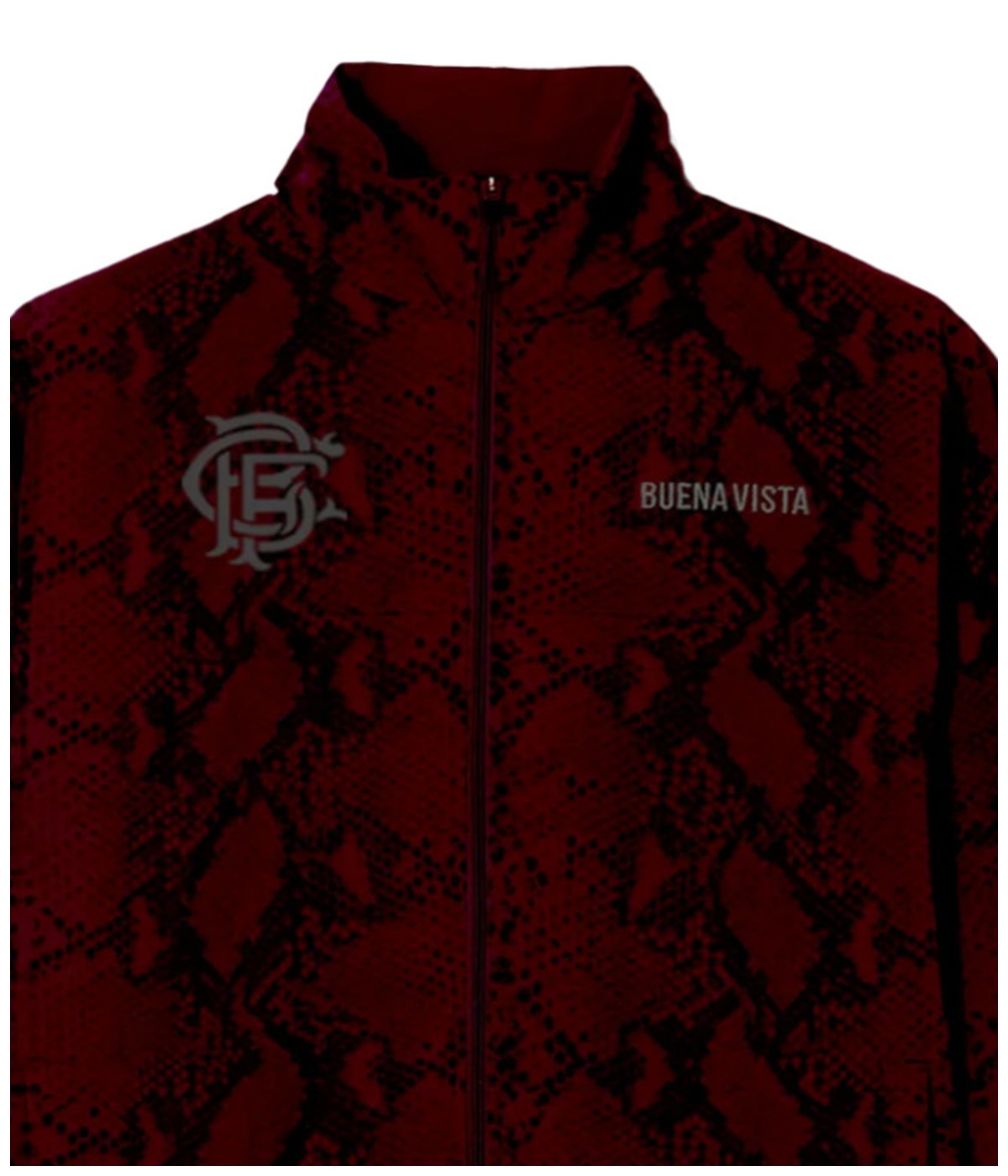 TRAINING TOP PYTHON【BORDEAUX】