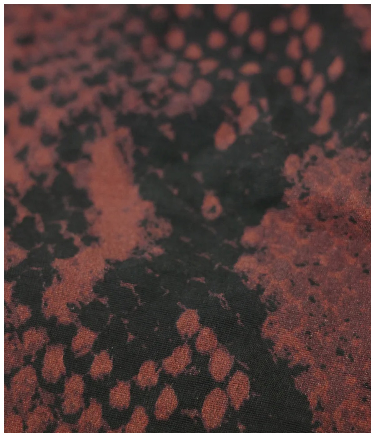 TRAINING TOP PYTHON【BORDEAUX】