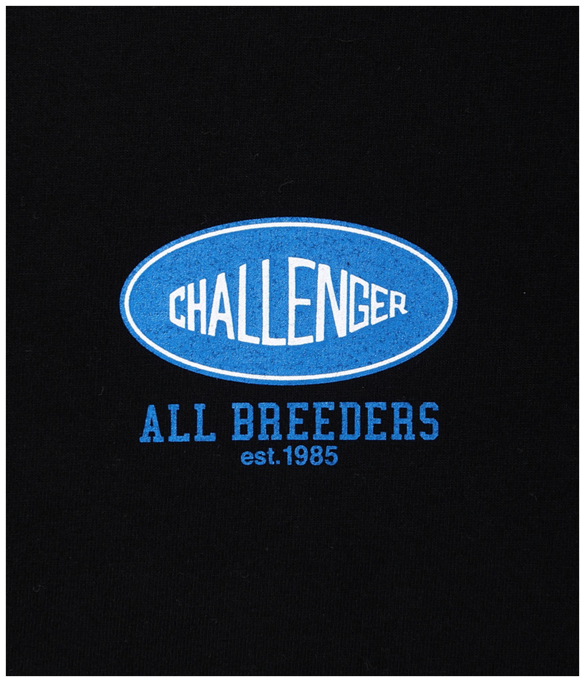 ROSE BANDANA TEE【BLACK】