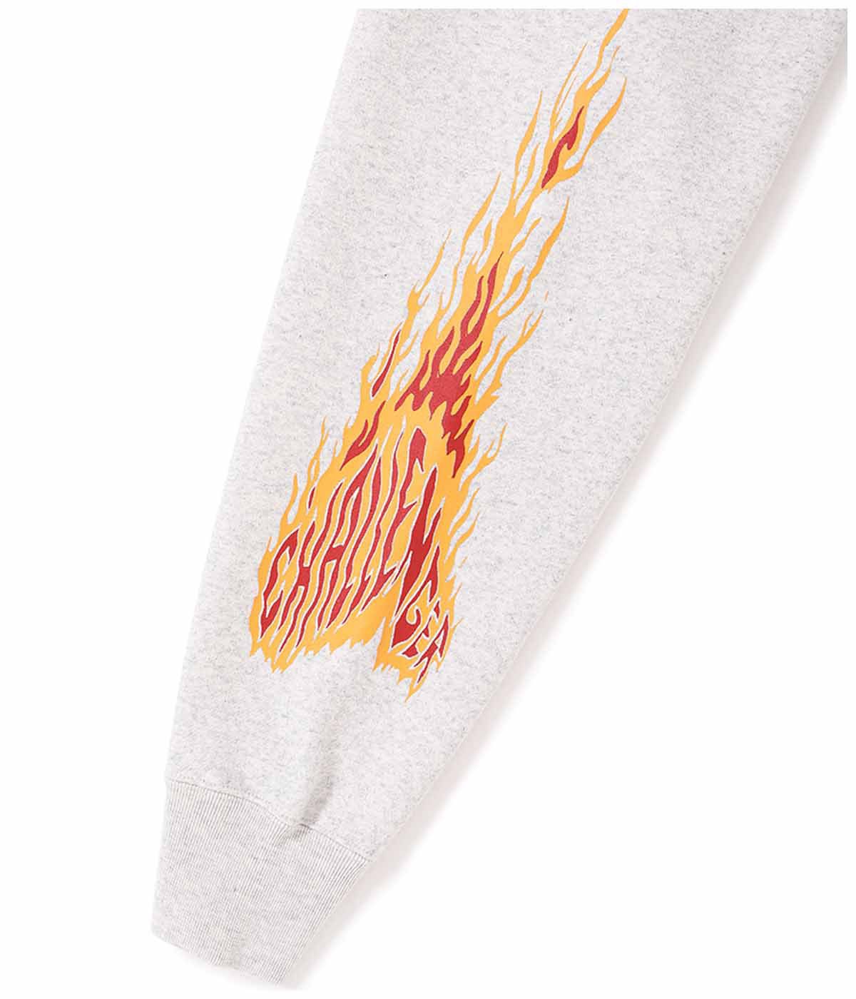 SNAKING LOGO HOODIE【GRAY】