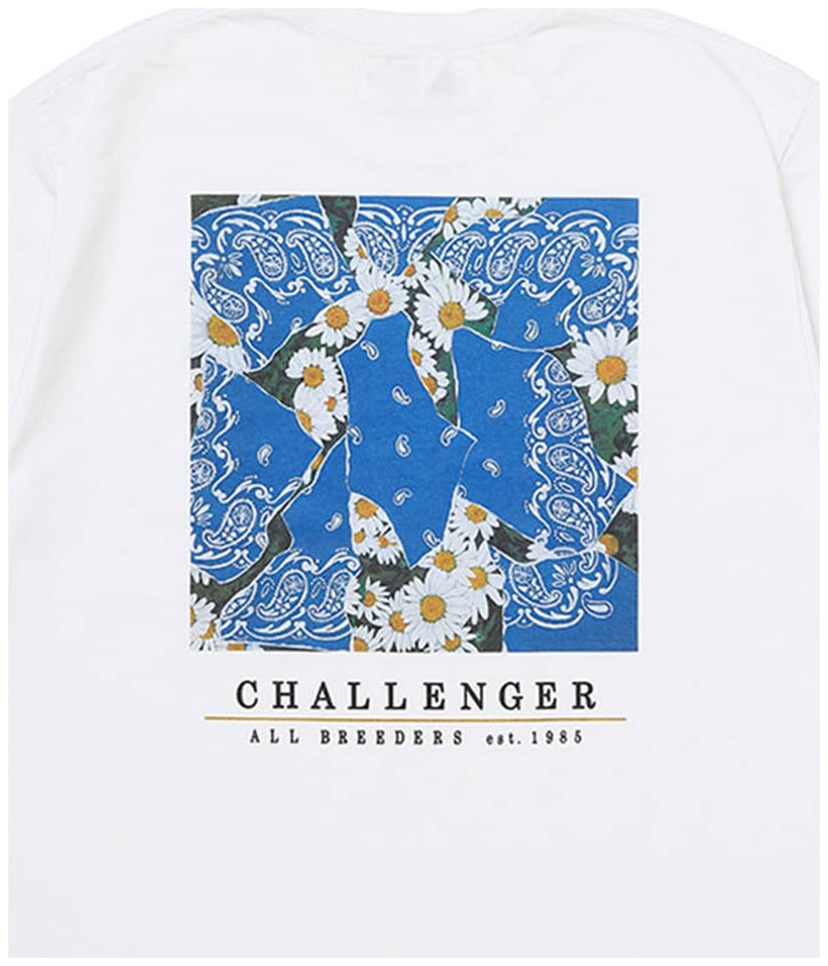CHALLENGER (チャレンジャー)　 26SS　DAISY TEE DAISY TEE【WHITE】｜CHALLENGER｜MELTING POT（正規取扱店・通販）