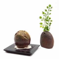 �긵�����ѥߥ˹��� �����ƥ��֥��������פξ����ʹ��� �����ϤΤĤܤߡ�������