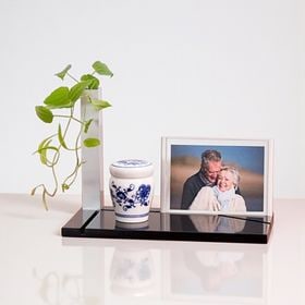 �����륹�ơ��� �ץ�å� �ե��ȥ����ס��긵���ܾ����� ����Υ��ơ��� (�����ץ󥿥���ʩ��)