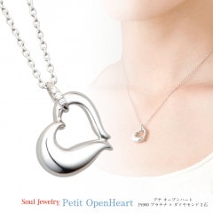 ڥ 른奨꡼ ץץϡȡڥץ900ߥ3С