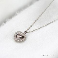 ڥ 른奨꡼ ˥ƥϡȡPt900 (ץ)ߥ