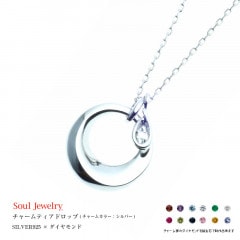 �����른�奨�꡼�ʰ���ڥ����ȡ� �ڥ��㡼�ࡦ�ƥ����ɥ��åס� SILVER�ߥ�������� �����ФǤ�������ǽ�Ǥ�