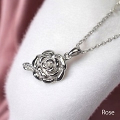 ڥ 른奨꡼ ץʡߥ(Фġ