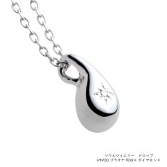 ڥȡ른奨꡼ ץ꡼ ɥå ʥץ900ߥɡ