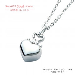 ����ڥ����ȡ������른�奨�꡼�����饦��ϡ���[PT900 �ץ����]