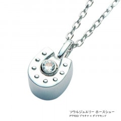 ڥȡ른奨꡼ ץ꡼ۡ塼[Pt900 ץʡߥ]