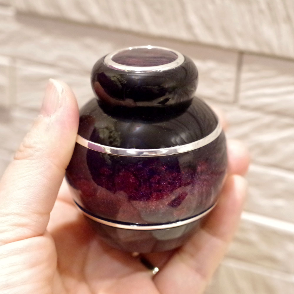 �긵������ �ߥ˹��� [�ޤȤ�/��] ���������ȶ�°�ù��ε��ˤ���ʼ��⤤����