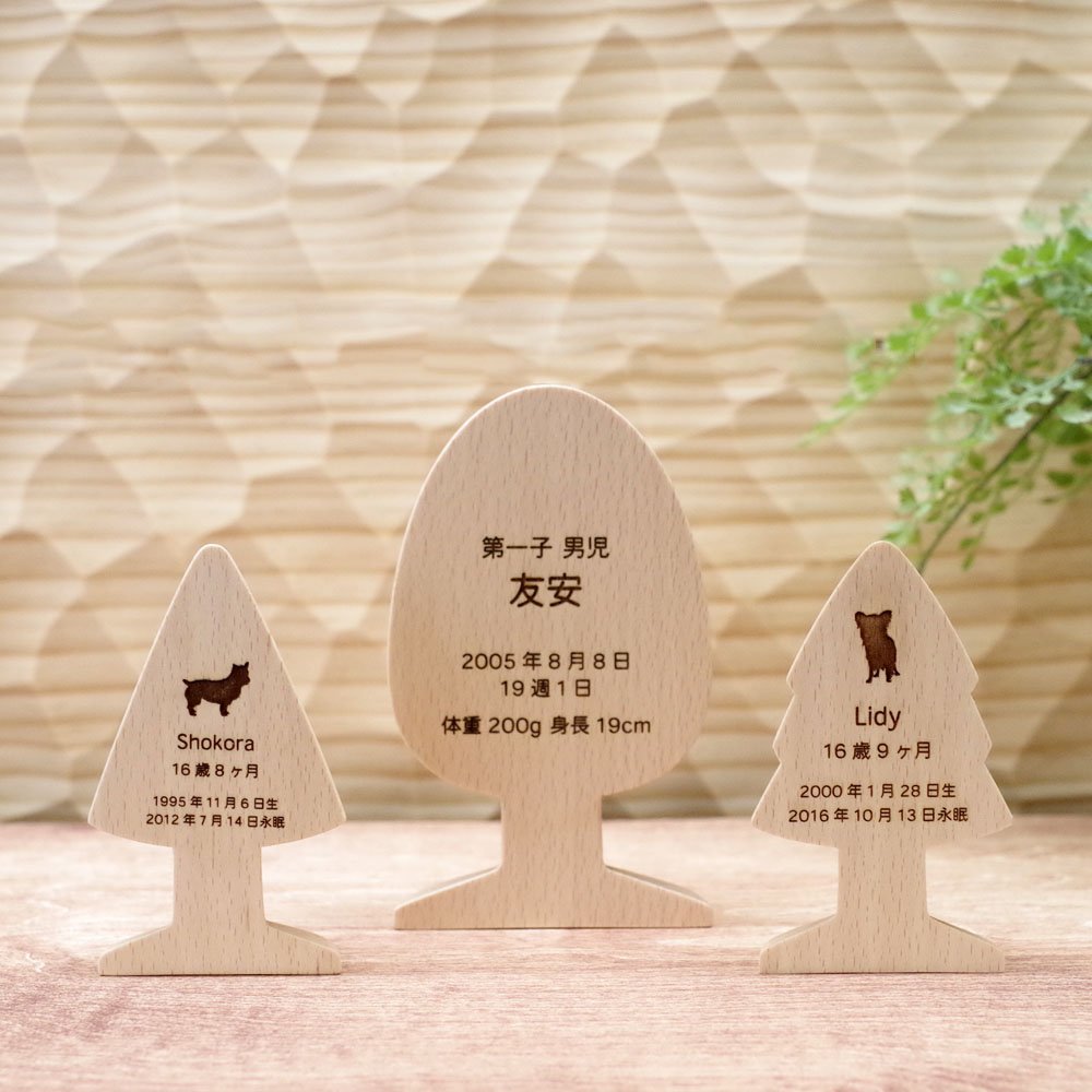 ͥڤΰסkaunis ؿռ1١Ǥ䤵ߥ˥ŷڤΰ