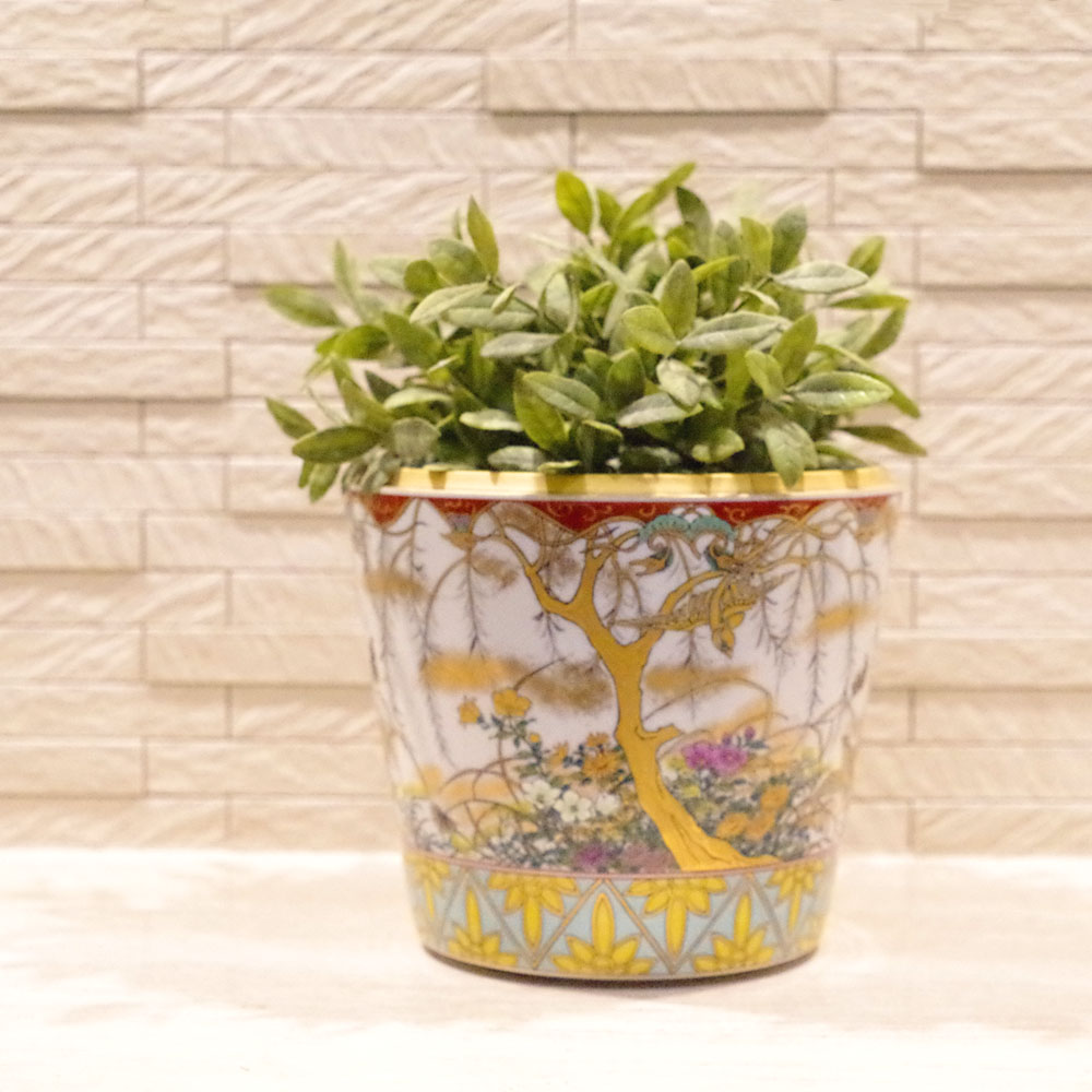 ��������Τ ͭ�ľƥ���ƥꥢ���ۡʹ��ۡ� ���ʤ�ʤ��ˡ�7��