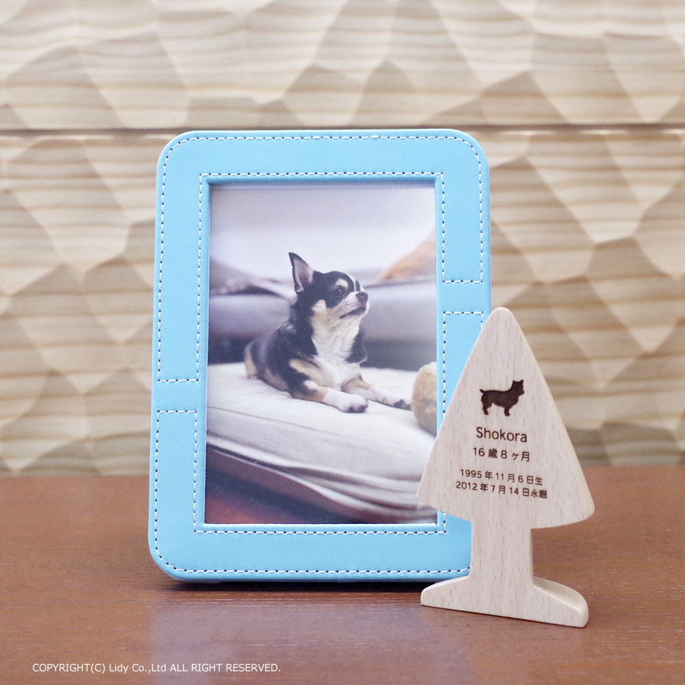 �ߥ˹��ۤ�Ǽ�ޤ�̿�Ω�� ���ꥢ��ե��ȥ������ �Υ��å����֥롼�� �긵���ܤ�