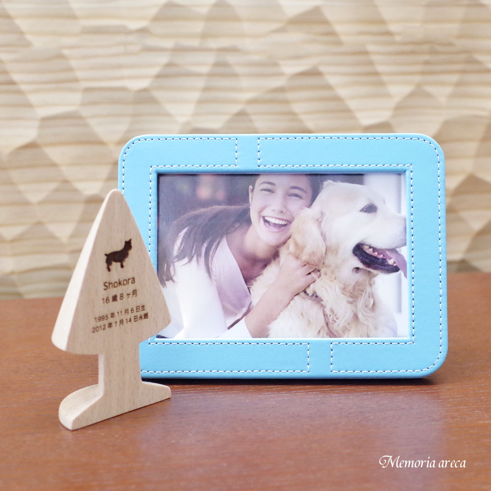 �ߥ˹��ۤ�Ǽ�ޤ�̿�Ω�� ���ꥢ��ե��ȥ������ �Υ��å����֥롼�� �긵���ܤ�