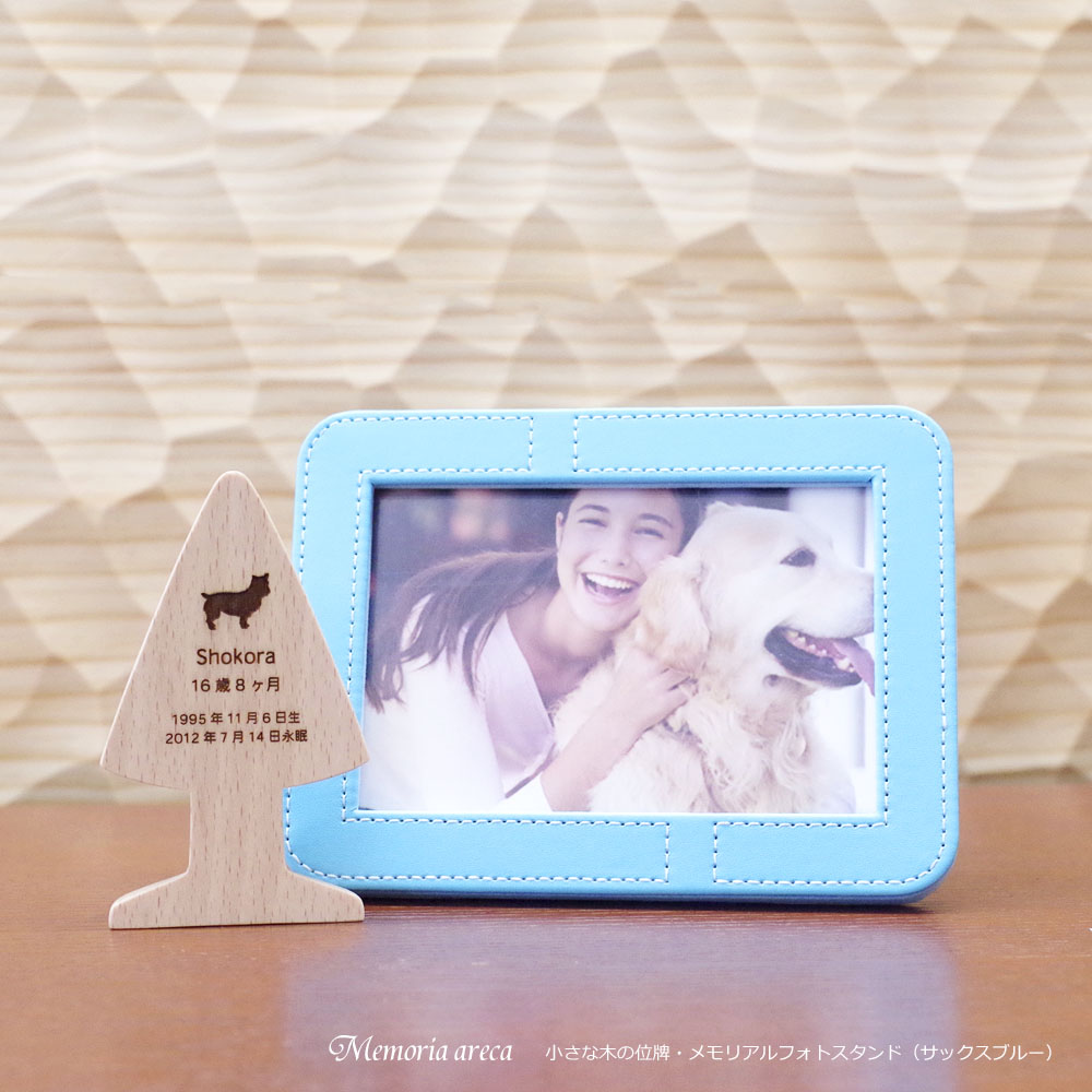 �ߥ˹��ۤ�Ǽ�ޤ�̿�Ω�� ���ꥢ��ե��ȥ������ �Υ��å����֥롼�� �긵���ܤ�