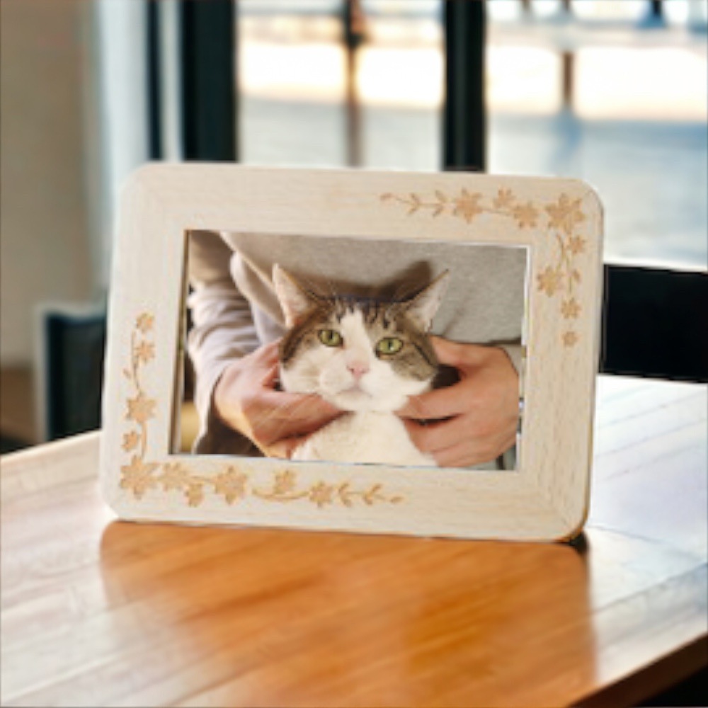 �ߥ˹��ۤ�Ǽ�ޤ�̿�Ω�� ���ꥢ��ե��ȥ������ �Υ��åɥ��꡼�������åɥե���