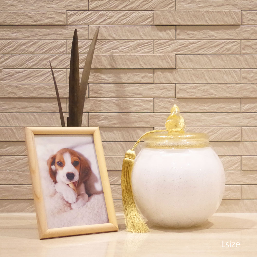 ѥǥ å奰饹 ߥ˹ [ץ꥿] ʬ~4ޤ4Ÿ