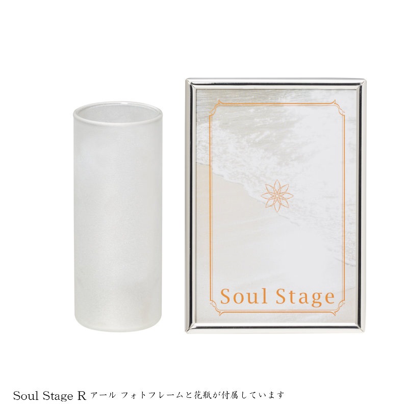 �긵���ܥ��ꥢ�륹�ơ��� ������ ���� ���ۤ����� �����륹�ơ���R �����롡���顼���ʥ�����