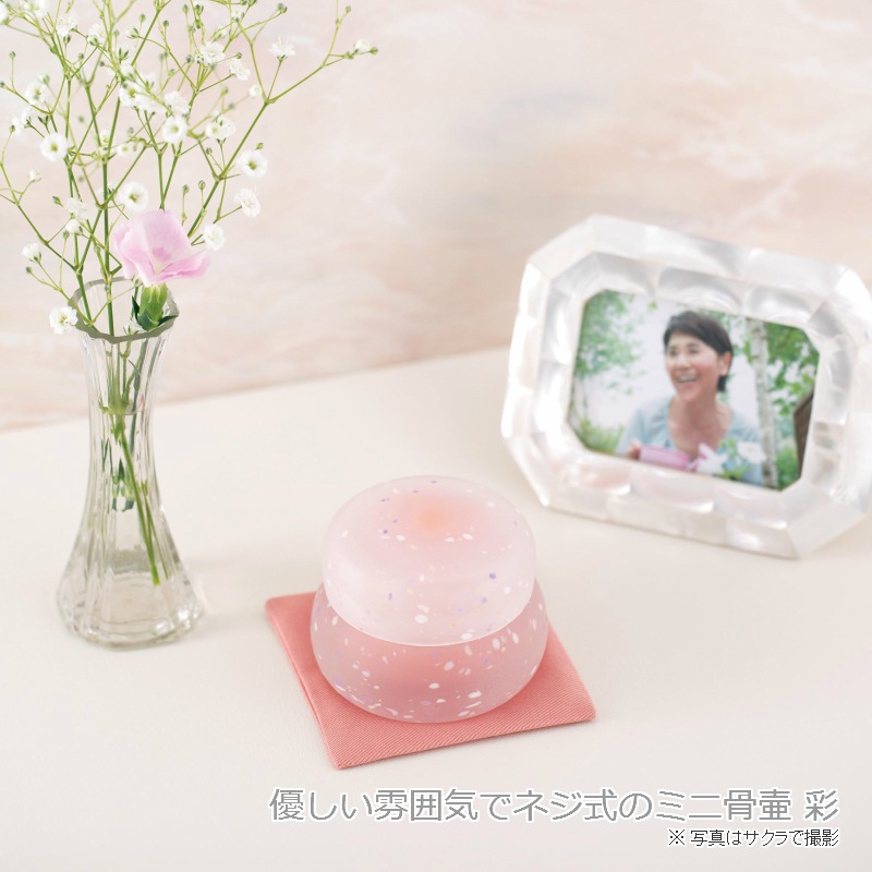 �ڥ��åȥǥ�����ޡۼ긵�����ѥǥ�������ۡ�Sai �̡�����  Ǽ������ ��Ȣ��