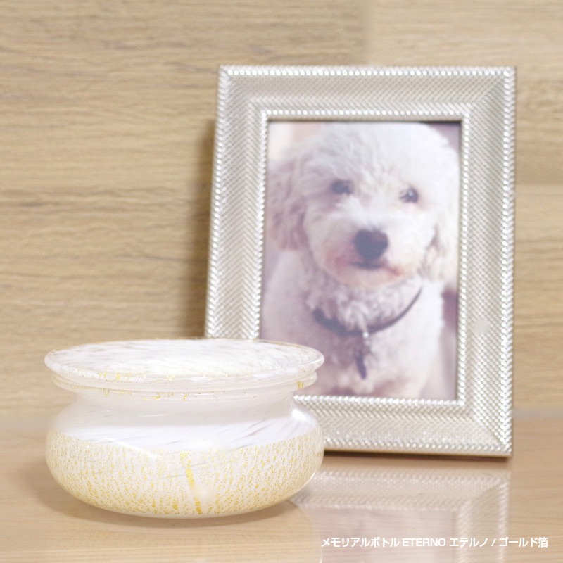 򶦤˾ 긵ܹ [ƥΡ] 3