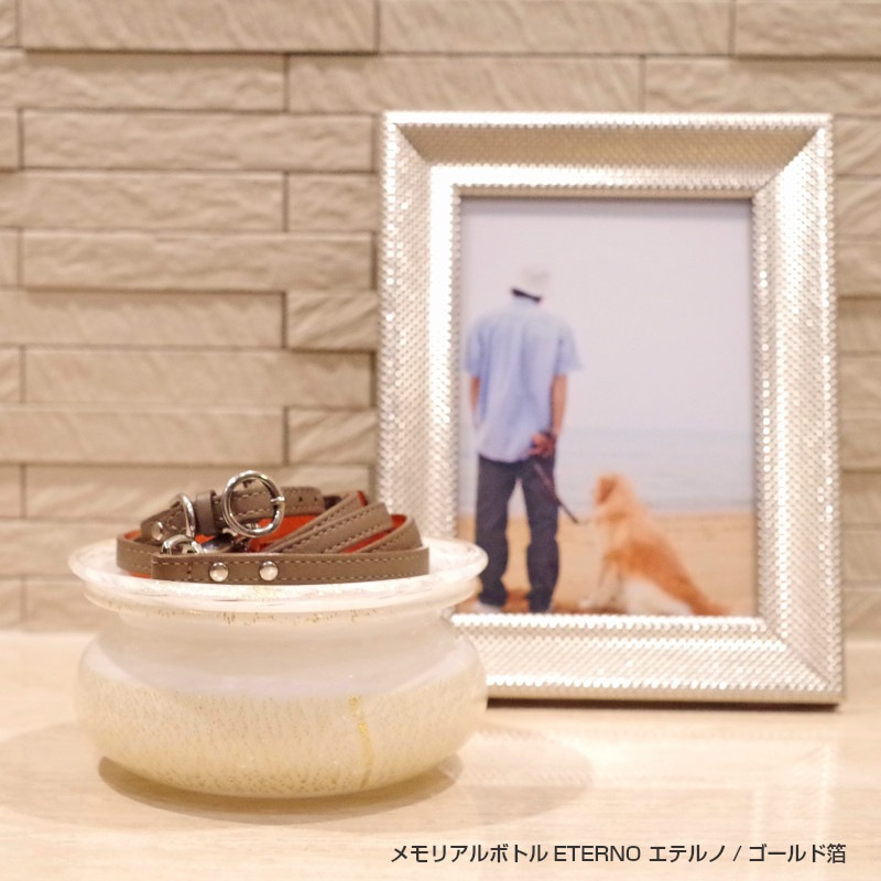 򶦤˾ 긵ܹ [ƥΡ] 3