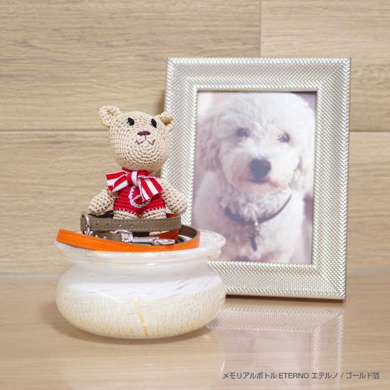 򶦤˾ 긵ܹ [ƥΡ] 3