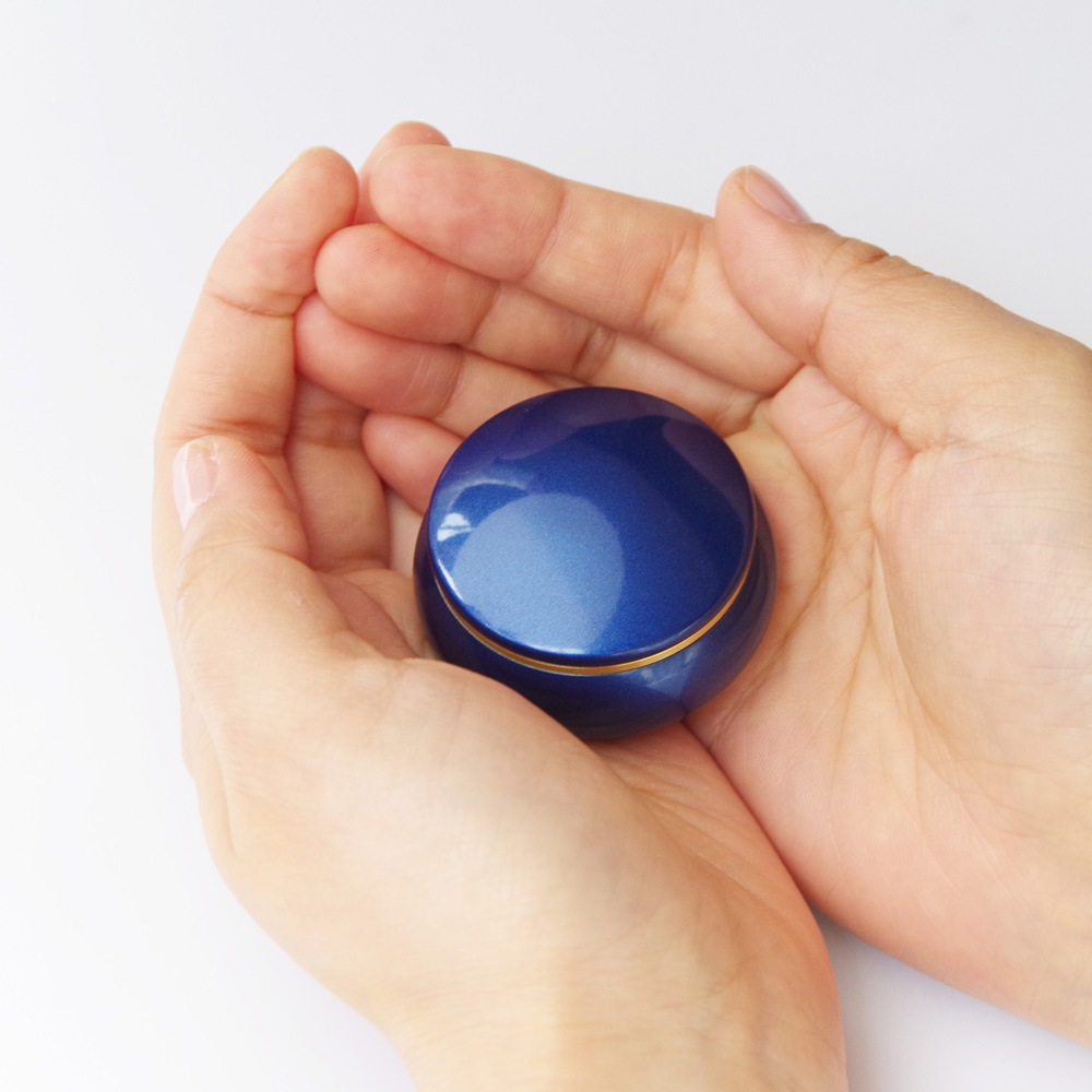 Ǥ襤ӥեߥ˹ ץݥåȥե롼 ڥ饷åͥӡ