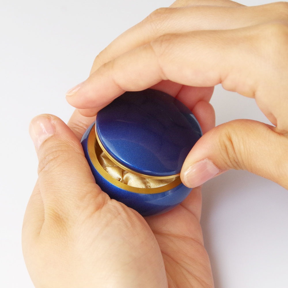 Ǥ襤ӥեߥ˹ ץݥåȥե롼 ڥ饷åͥӡ