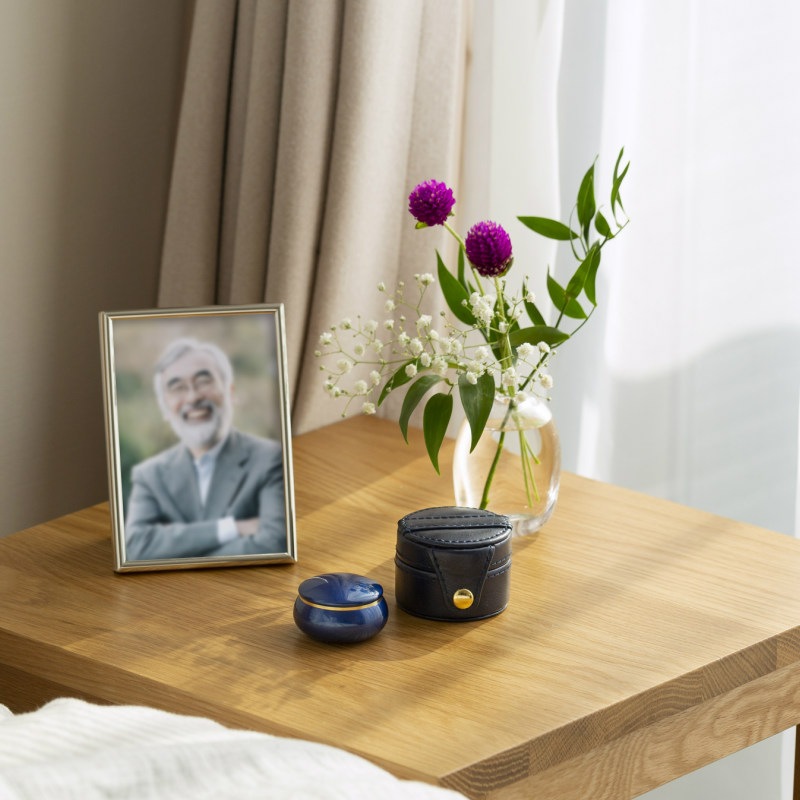 Ǥ襤ӥեߥ˹ ץݥåȥե롼 ڥ饷åͥӡ