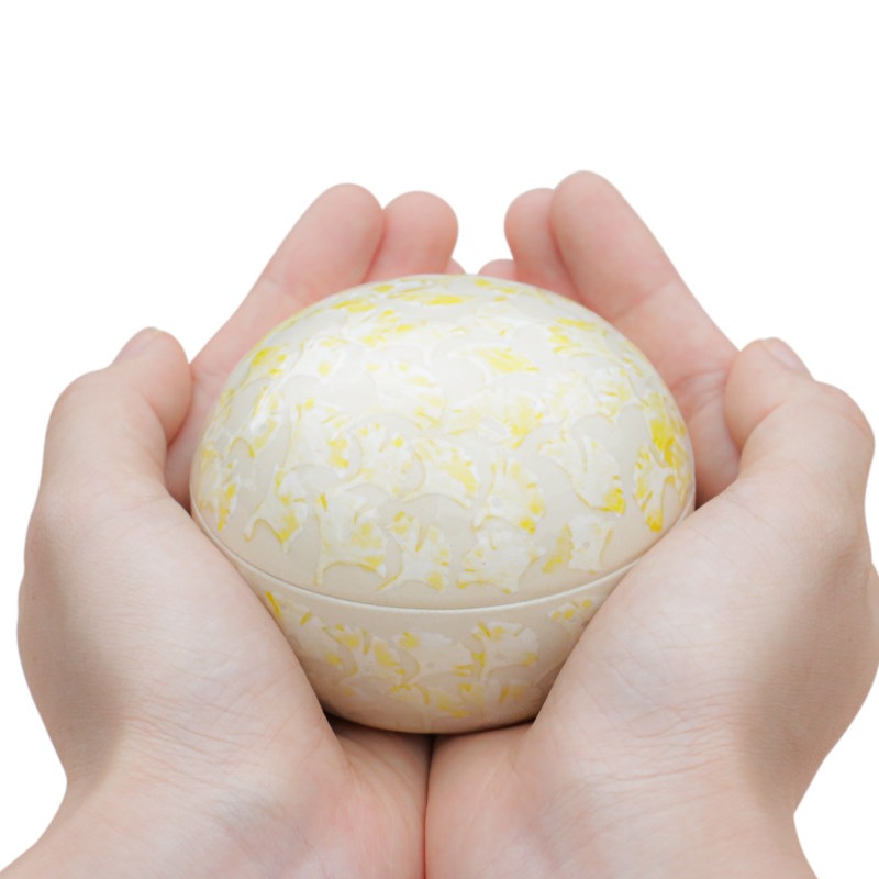 ھ 񤭥ߥ˹ۡ⤫꡼ɡʤ礦