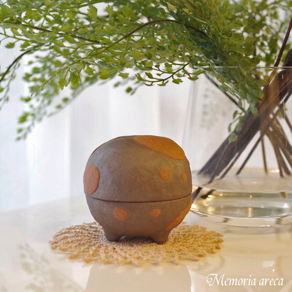 ڼ긵ܡۥߥ˹ [nuku꡼/ϡ] (Ǽ) ھ