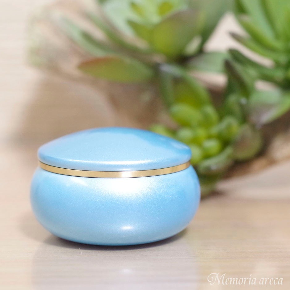 �������Ǥ��襤�����ӥ������եߥ˹��� ������ץ��ݥåȥե롼�� �ڥ������֥롼��