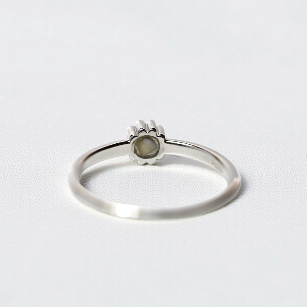 MR30/Pt900ۥߥꥢ󥰡MR28ץʡߥ(3)ޤС,