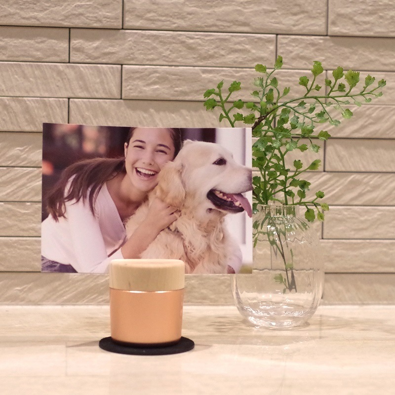 ���ꥢ��ݥåȤȥե��ȥե졼�ब���ˤʤä���Sotto���꡼���ߥ˹��� �ԥ����奢�� ���������ԥ󥯥������