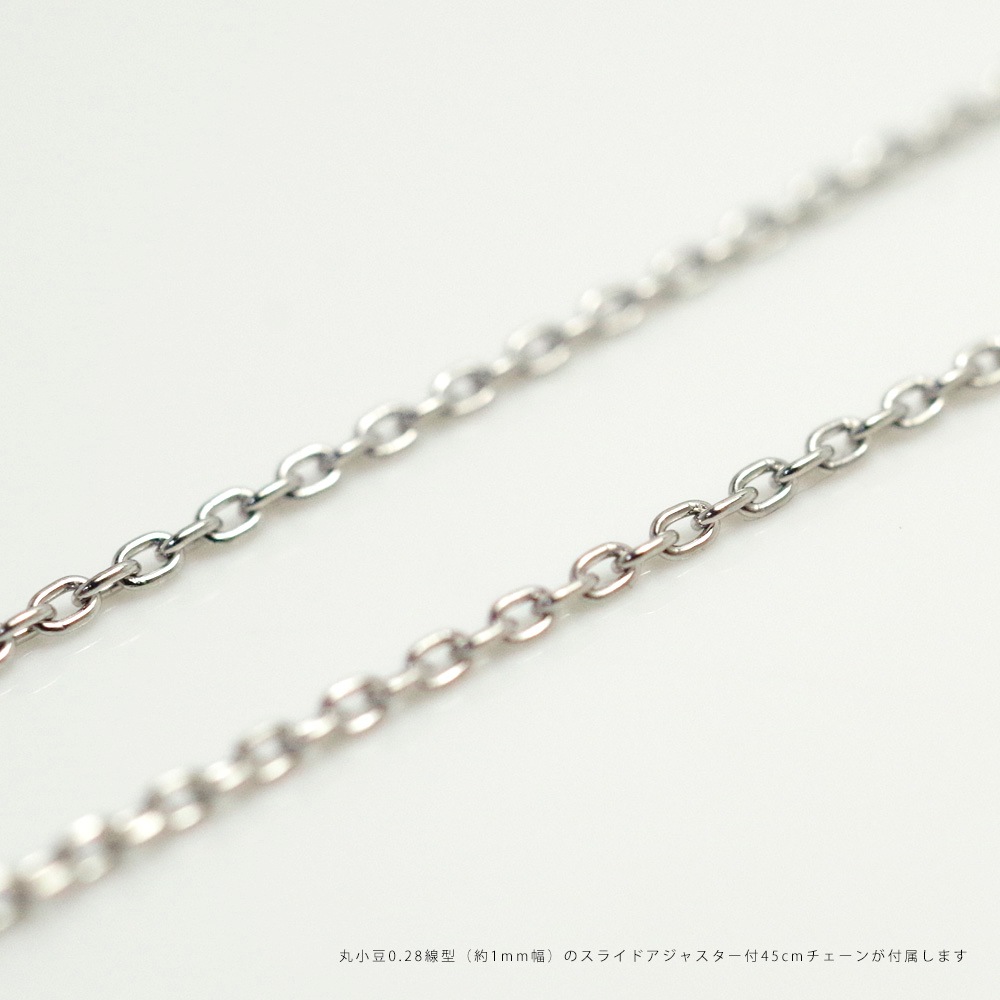 MS01/Pt900 ڥȡ饿״ɿ ꥢ른奨꡼MS01 ץʡ4