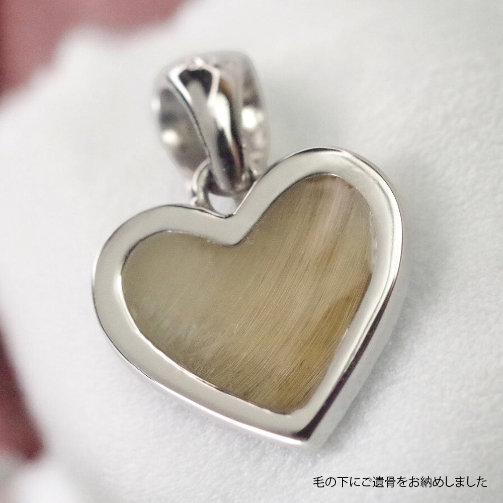 ꥢ른奨꡼ LC02B (Pt900ߥɥѥ2.5mm)[ڥȡ饿״ɿ]